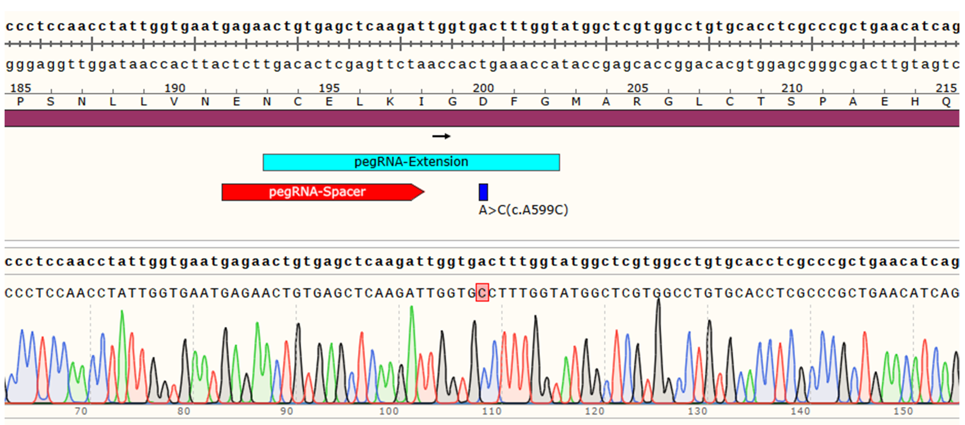 Editing efficiency assays
