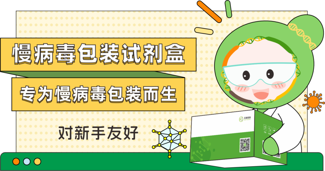 慢病毒包装试剂盒