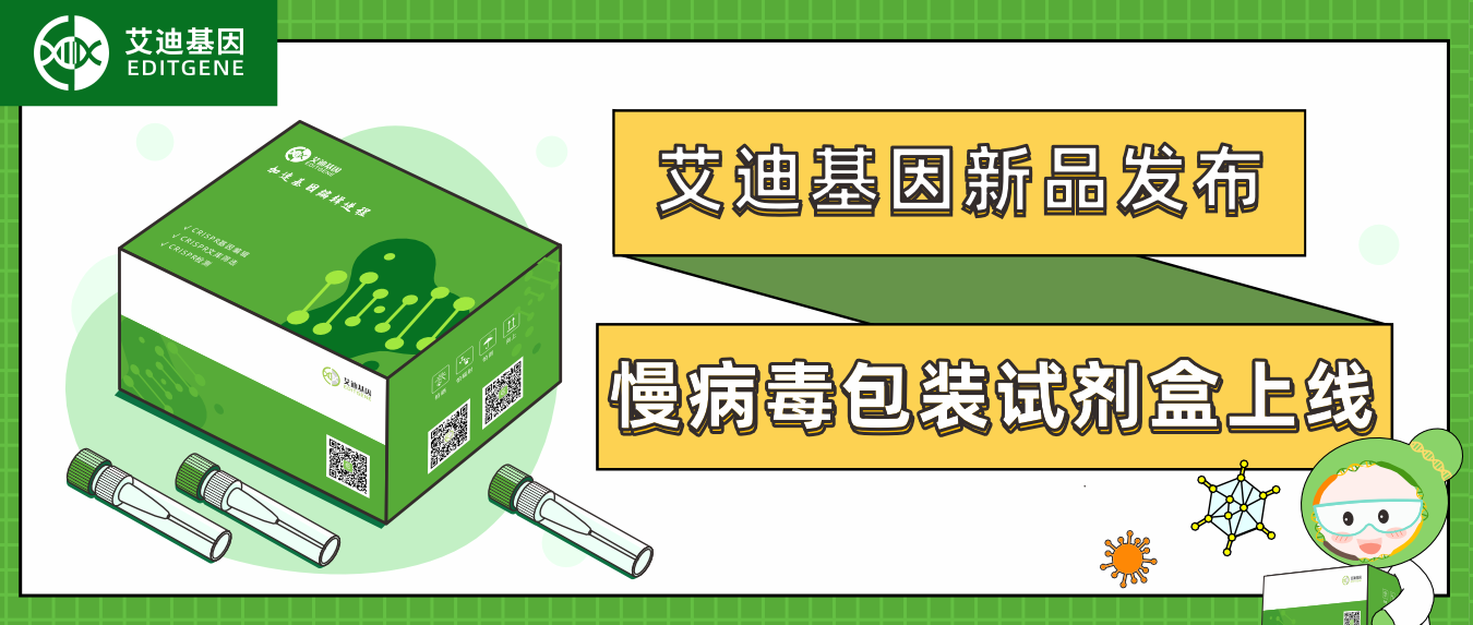球盟会生物基因慢病毒包装试剂盒全新上线！高滴度高效率，自主操作无忧下游实验！