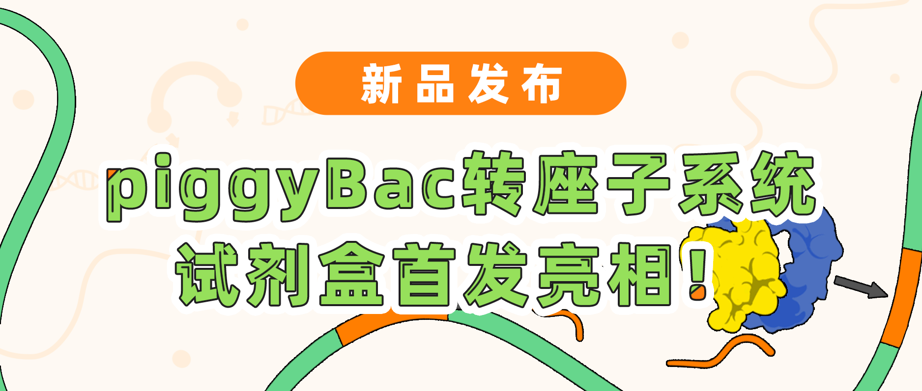 新品发布| 球盟会生物基因piggyBac转座子系统试剂盒首发亮相！极速转座，千元不到体验高效基因递送！