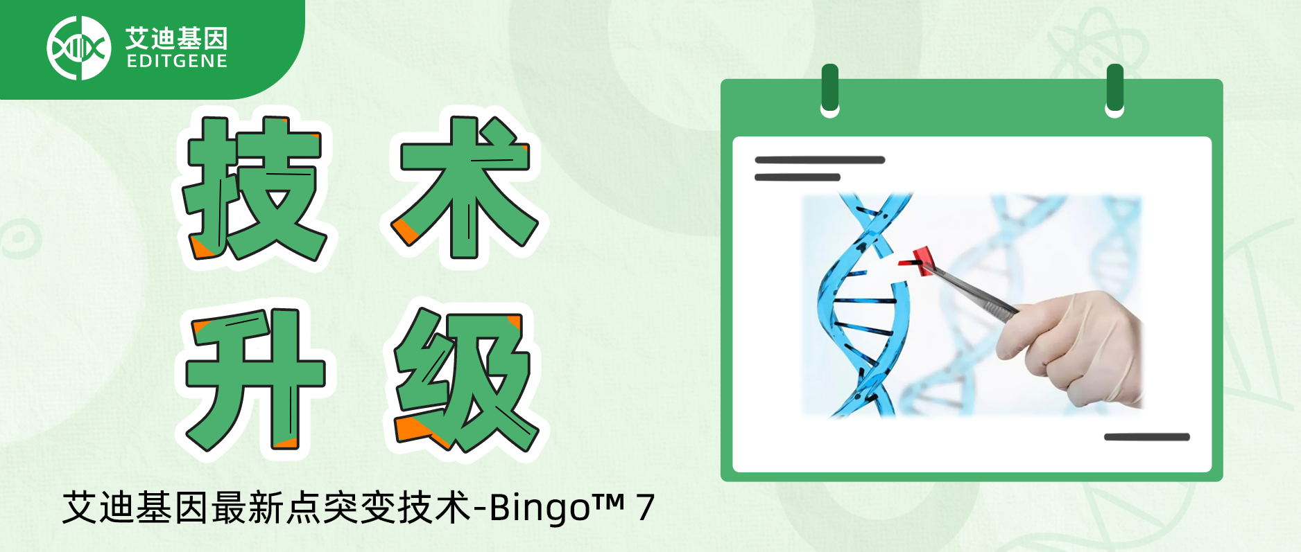 基因编辑精准与效率双向飙升！球盟会生物基因重磅推出升级基因定点突变技术-Bingo™ 7!
