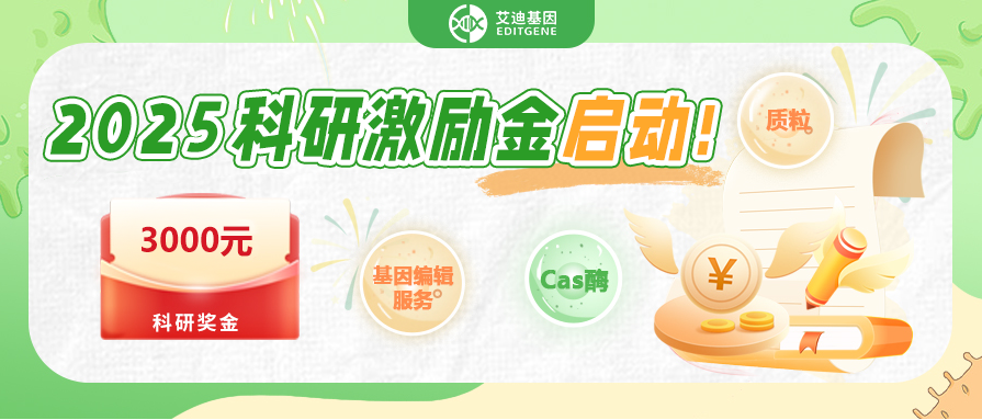 【球盟会生物基因】2025科研激励金启动！3000奖学金等你来拿！