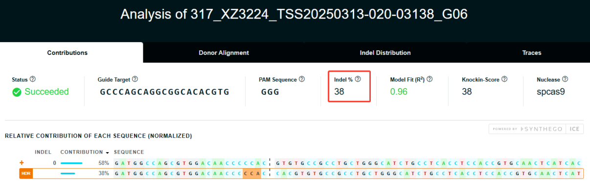 Editing efficiency assays