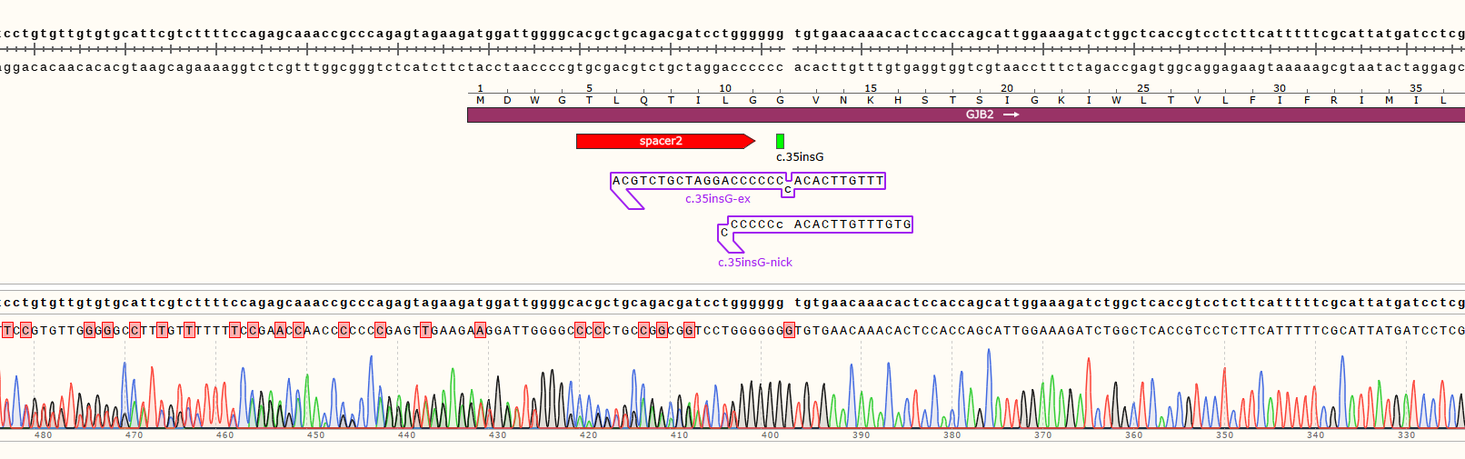 Editing efficiency assays