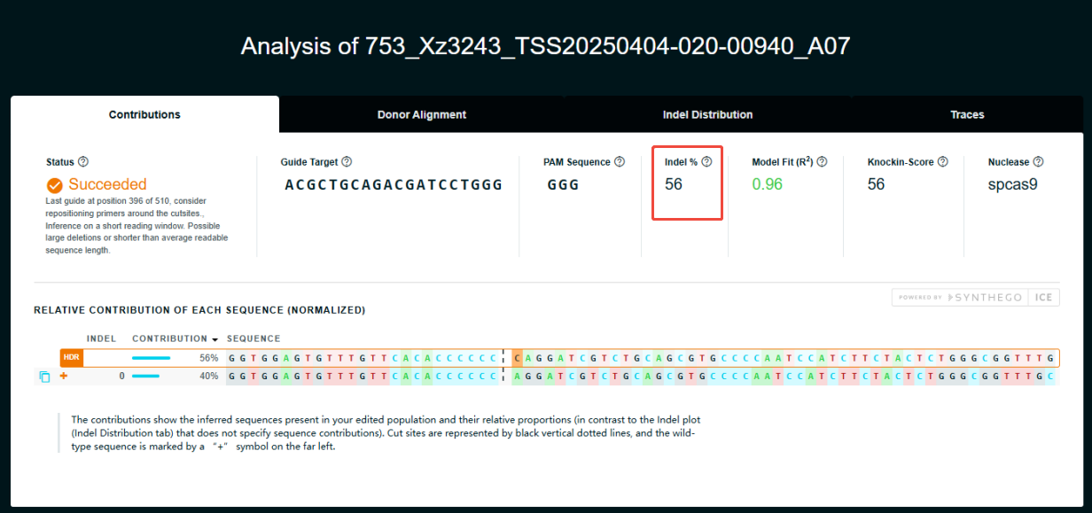 Editing efficiency assays