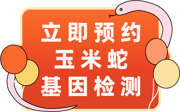 玉米蛇基因检测，让繁育更科研，成果可控