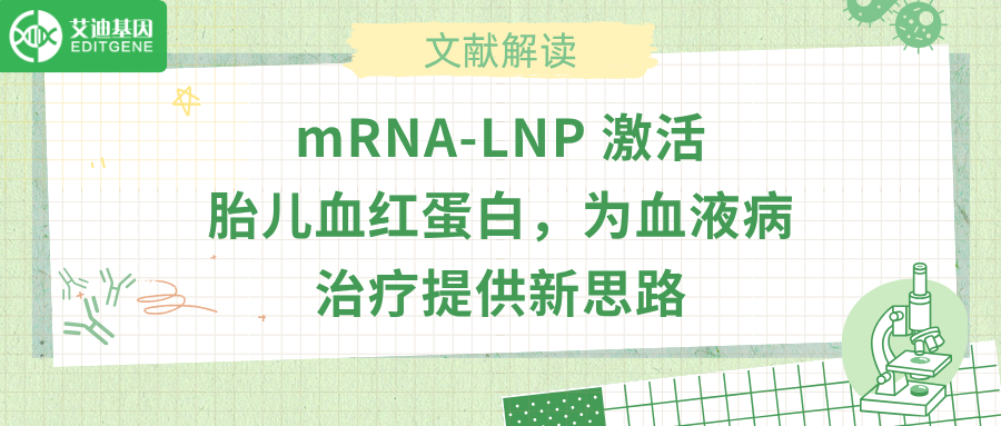 mRNA-LNP 激活胎儿血红蛋白，为血液病治疗提供新思路