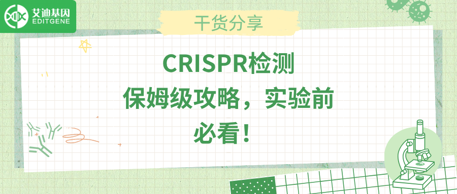 CRISPR检测保姆级攻略，实验前必看！
