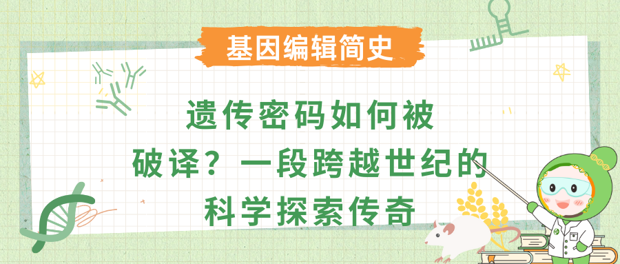 遗传密码如何被破译？一段跨越世纪的科研探索传奇