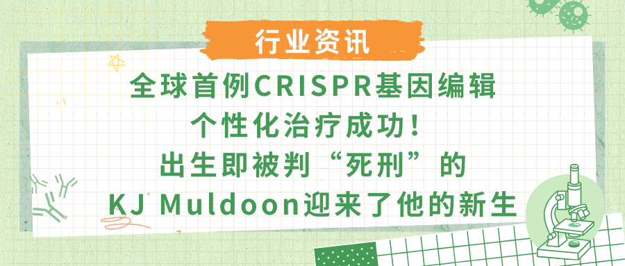 全球首例CRISPR基因编辑个性化治疗成功！出生即被判&ldquo;死刑&rdquo;的KJ Muldoon迎来了他的新生