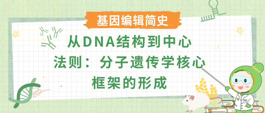 从DNA结构到中心法则：分子遗传学核心框架的形成